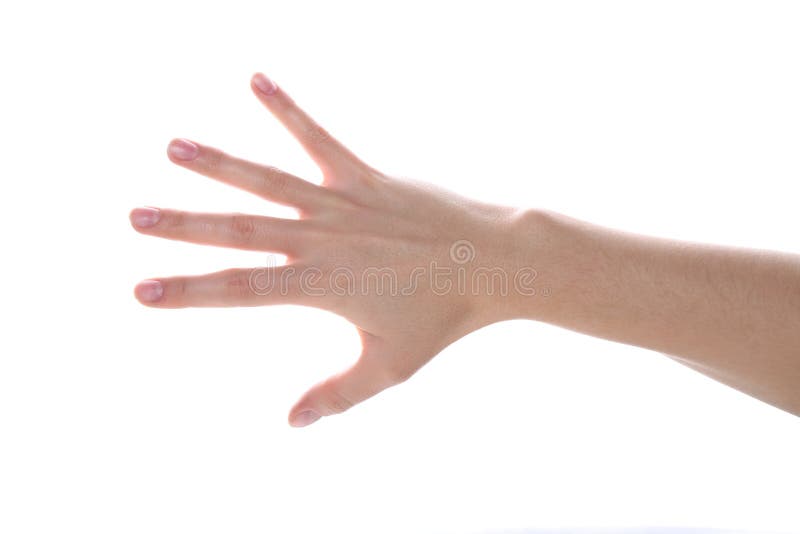 Female hand stock photo. Image of beauty, gesturing, press 65872892