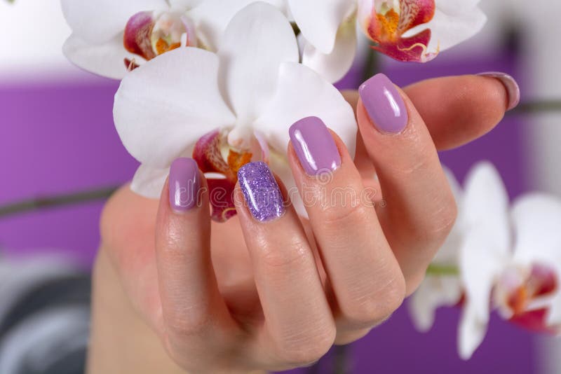 Female Hand with a Lilac Color Nails Polish Gel and Beautiful ...