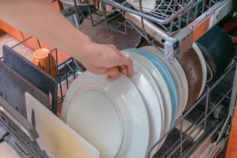 Female Hand is Putting Dirty Dish in Dishwasher Stock Image Image of
