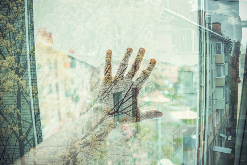 A female hand reaches out from the window, tree branches shine through the palm. royalty free stock photography A female hand reaches out from the window, tree branches shine through the palm. royalty free stock photography