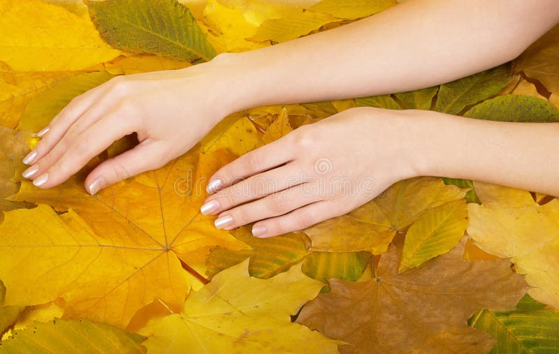 Female hands against leaves