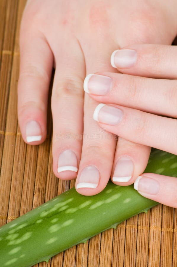 Female hands with Aloe leaf