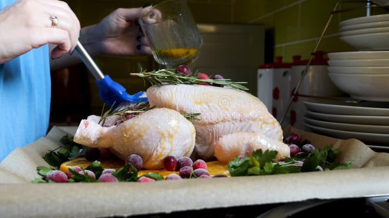 Female Hands Brushing Whole Raw Chicken With Roasting Sauce in Roasting Pan With Oranges Cranberries and Herbs in Oven