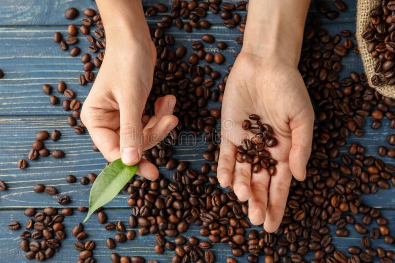 Female hands with coffee beans on wooden background stock photo