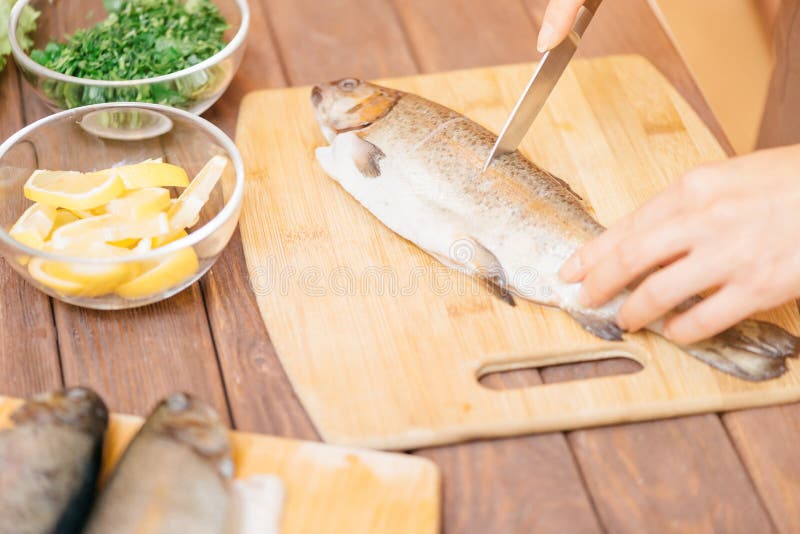 Female hands cutting raw trout fish. stock photo Female hands cutting raw trout fish. stock photo