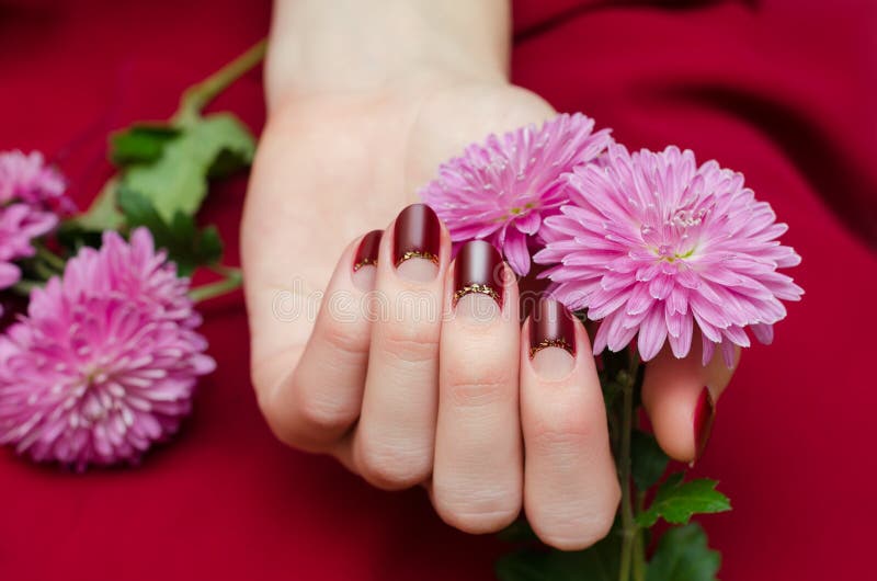 Female hands with dark red nail design holding flowers. Female hands with dark red nail design holding flowers.