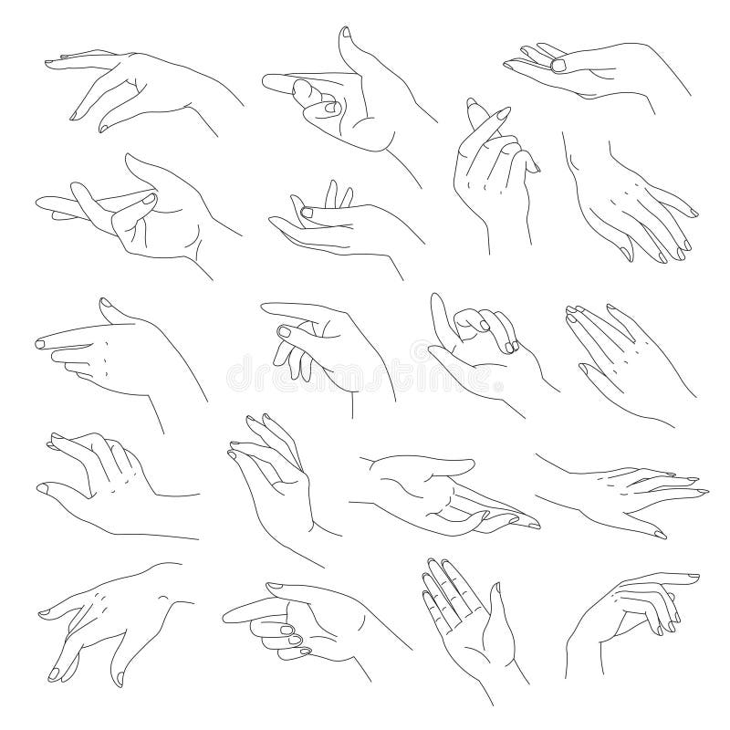 Elegant and Tender Hands with Fingers, Vector Stock Illustration -  Illustration of drawing, woman: 207791322