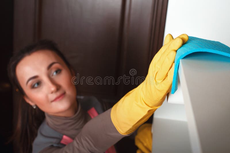 Maid Cleans The Bidet With A Cleaning Spray Stock Photo Image Of