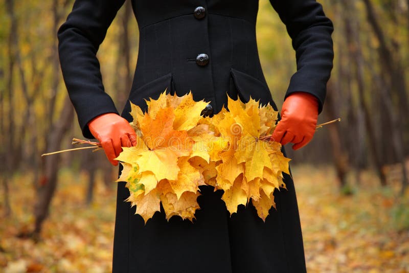 Female hands in gloves with yellow leaves