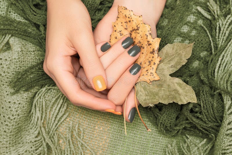 Female hands with gray, yellow autumn nail design. Female hands hold autumn leaves. Woman hand on green wool shawl