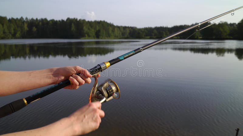 Female Hands Hold the Fishing Rod, Twist the Coil. Fisherman Holds