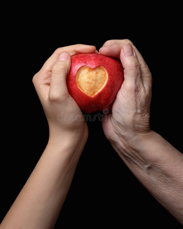 Female hands holding apple stock photo. Image of fruit 36133048