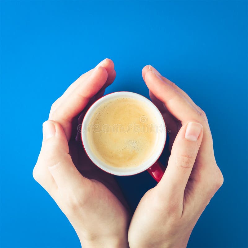 Female hands holding a cup of coffee royalty free stock image Female hands holding a cup of coffee royalty free stock image