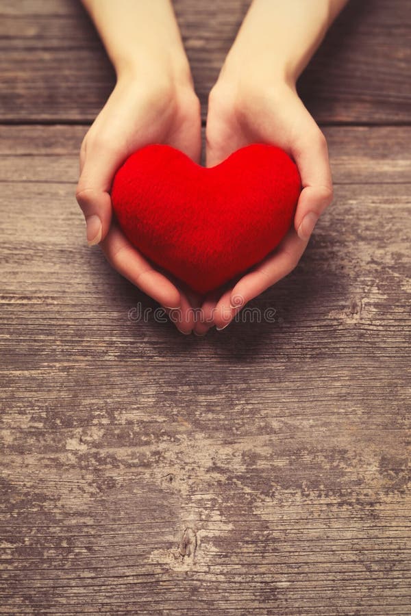 Female hands holding red heart royalty free stock photography