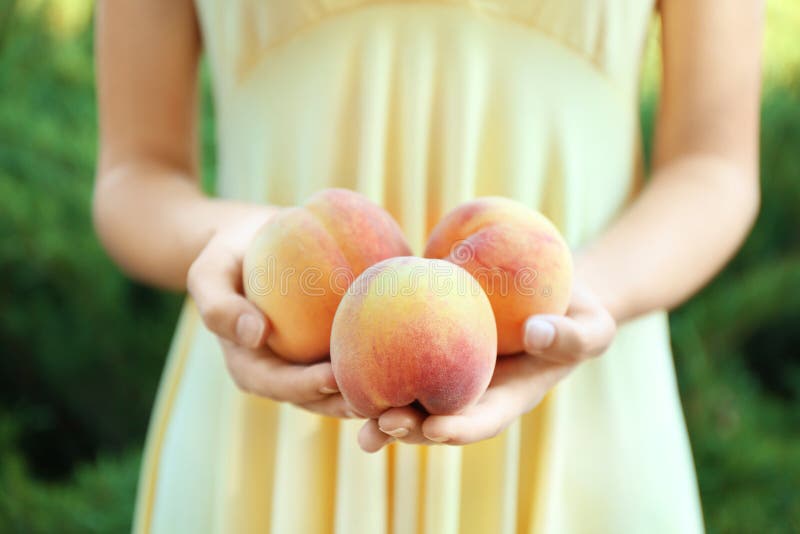 Female hands holding ripe peaches