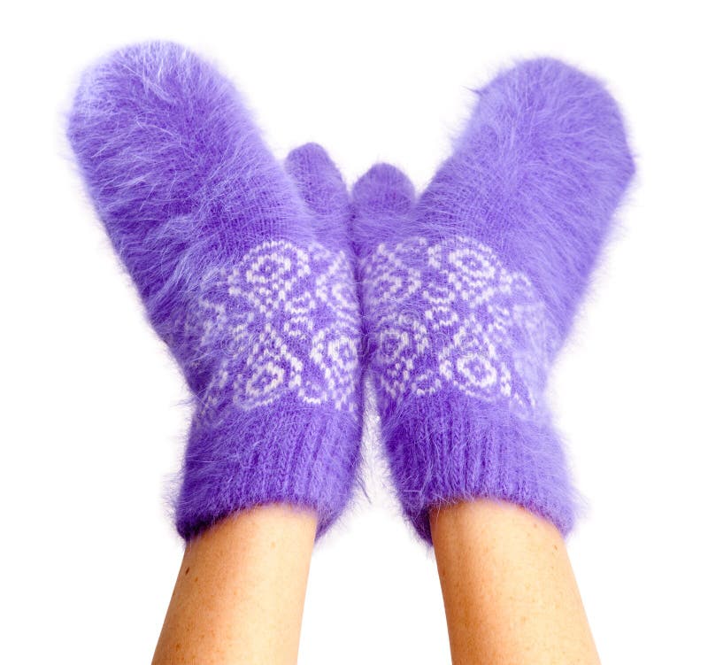 Female hands in mittens stock image Female hands in mittens stock image