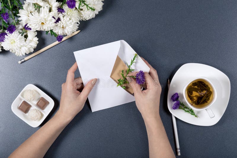 Female hands put a flower into white envelope with letter. Fresh chrysanthemums, pencils, cup of tea and candies on gray backgroun stock images Female hands put a flower into white envelope with letter. Fresh chrysanthemums, pencils, cup of tea and candies on gray backgroun stock images
