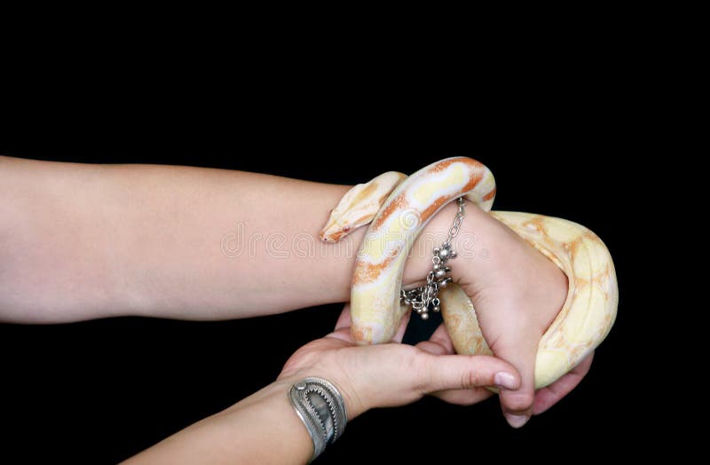 Держать змею в руках. Рука держит змею. Человек держит змею в руках. Белый питон в женской руке. Змея которую держут на руках.