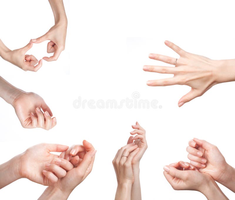 Female hands on white royalty free stock images