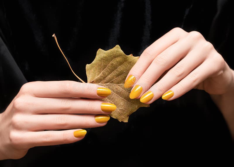 Female hands with yellow nail design. Glitter yellow nail polish manicure. Woman hands hold yellow autumn leaf