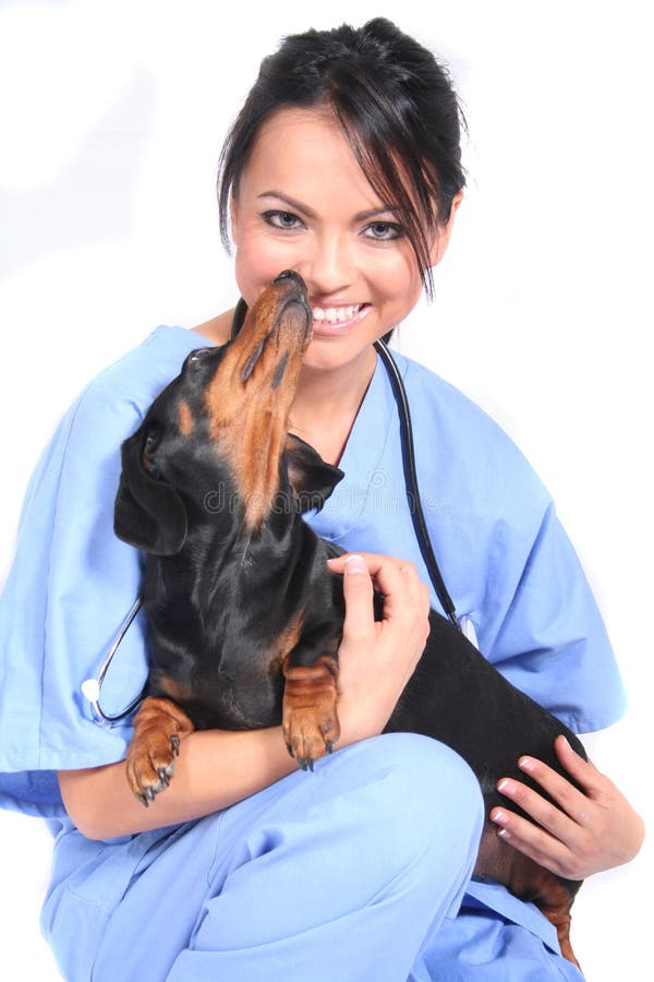 Female Healthcare Worker with Dog royalty free stock images