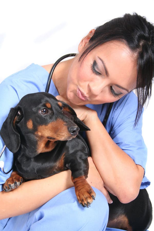 Female Healthcare Worker with Dog stock image