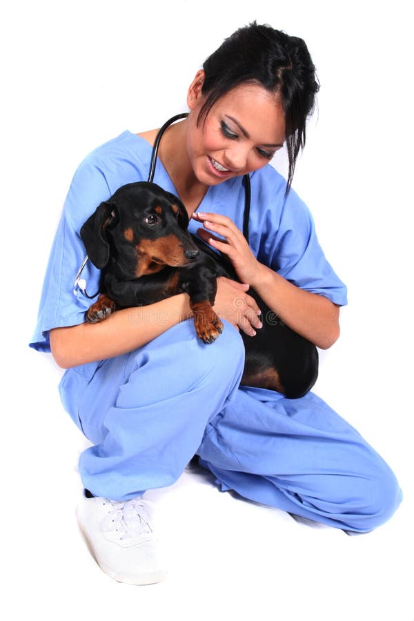 Female Healthcare Worker with Dog stock image