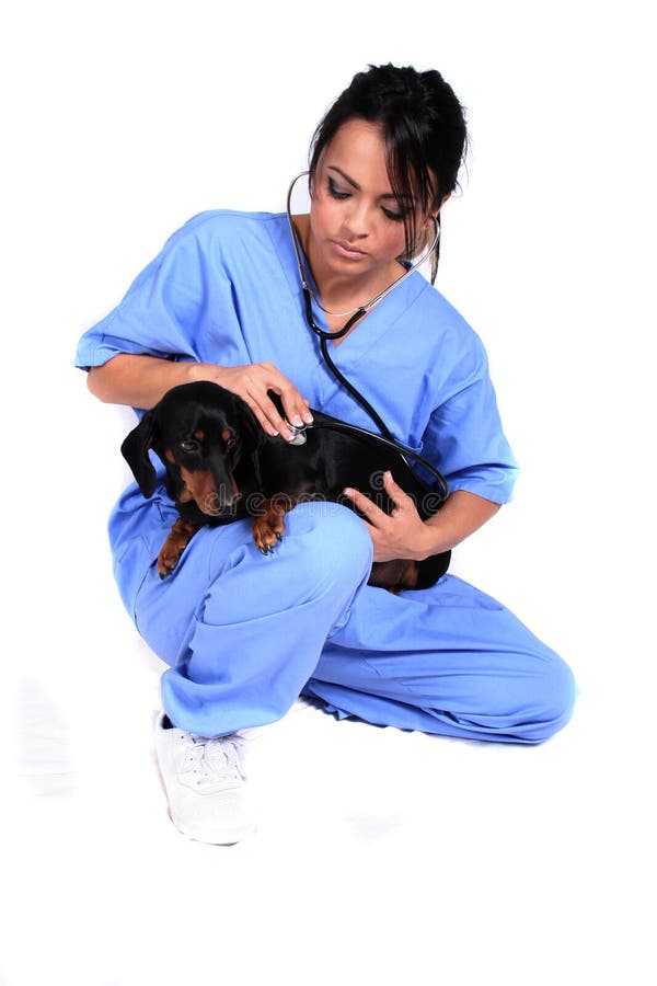 Female Healthcare Worker with Dog stock photo
