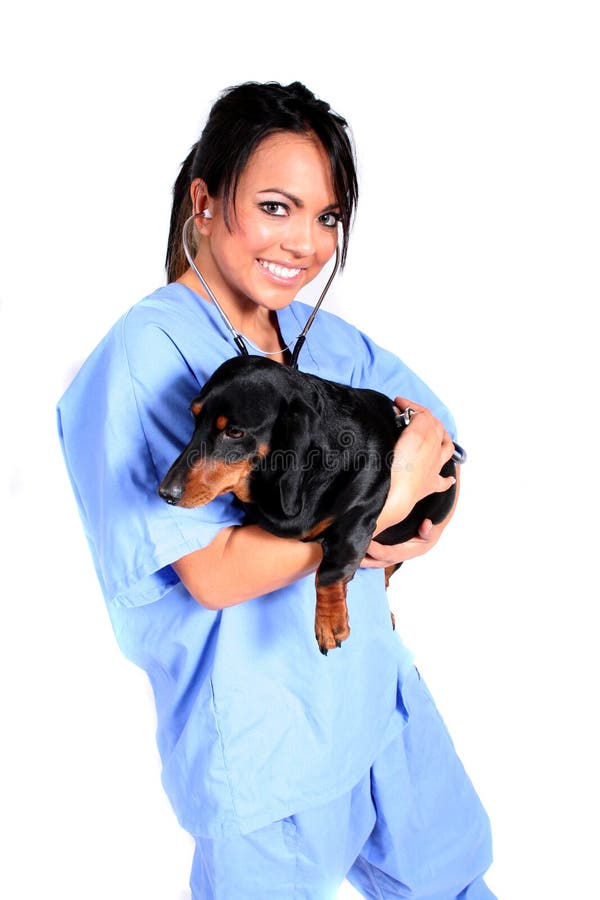 Female Healthcare Worker with Dog stock photos
