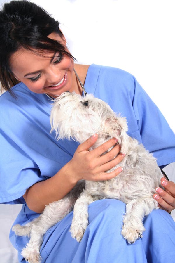 Female Healthcare Worker with Dog stock photo