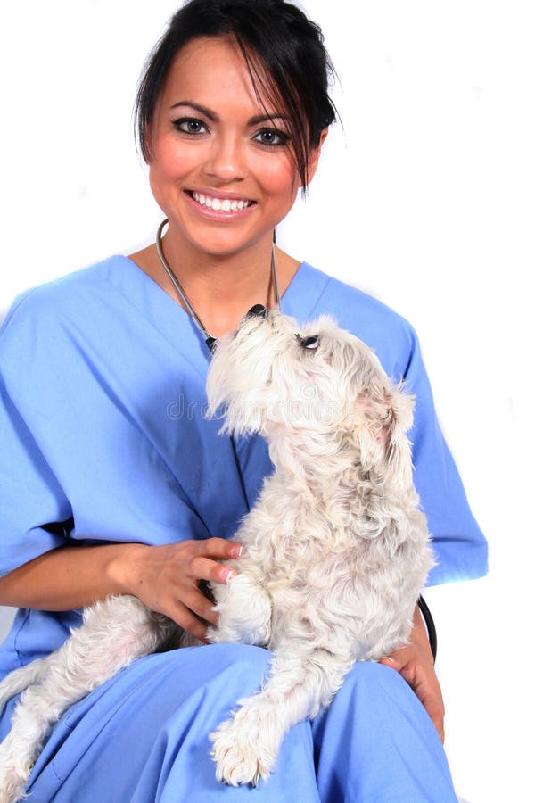 Female Healthcare Worker with Dog royalty free stock image