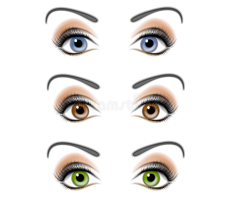 A digital illustration of isolated sets of eyes of women in blue, brown and green colors. A digital illustration of isolated sets of eyes of women in blue, brown and green colors