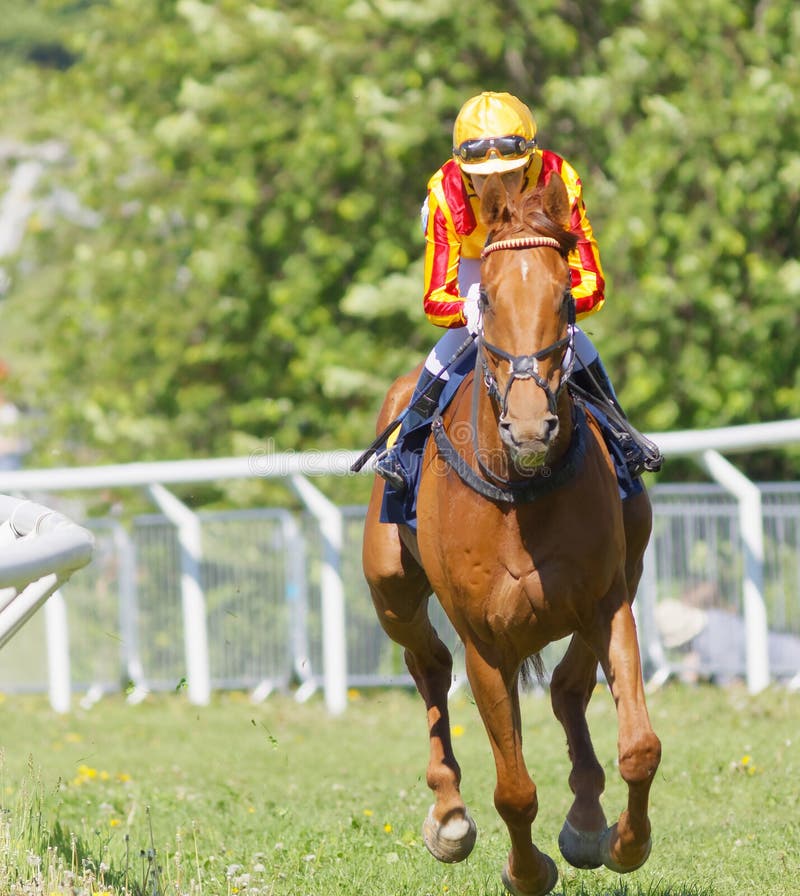 Female jockey riding a brown gallop arabian race horse stock photos Female jockey riding a brown gallop arabian race horse stock photos