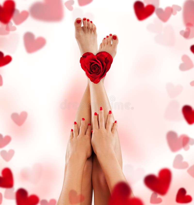 Female legs and hands with rose and hearts