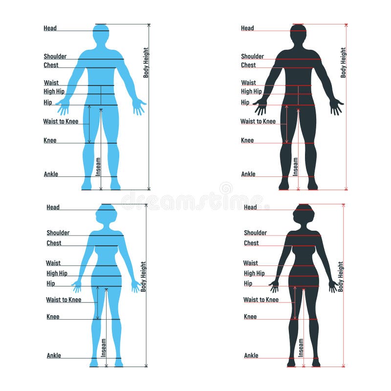 Body anatomy, vector man front back side. Human body anatomy, vector man  front b #Sponsored , #SPONSORED, #AD, #anat…