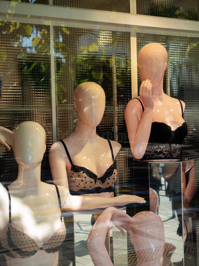 550 Lingerie Window Shop Stock Photos - Free & Royalty-Free Stock Photos  from Dreamstime