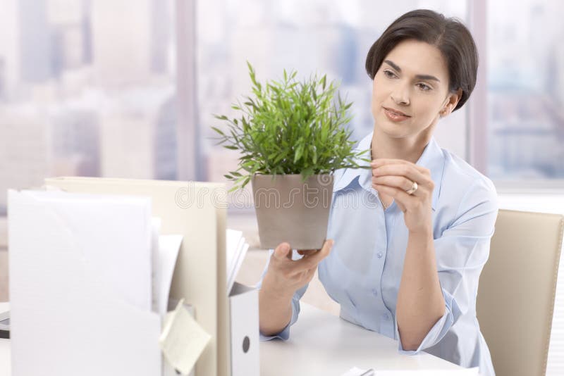 Female office worker holding potted plant royalty free stock image