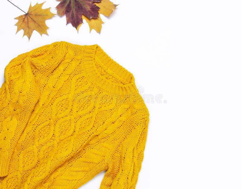 Woman in white knit sweater holding yellow maple leaf photo – Free Plant  Image on Unsplash