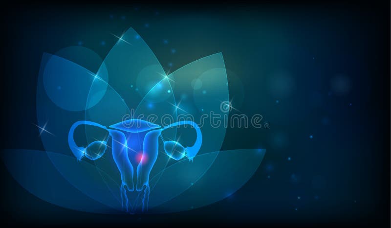 Female reproductive organ