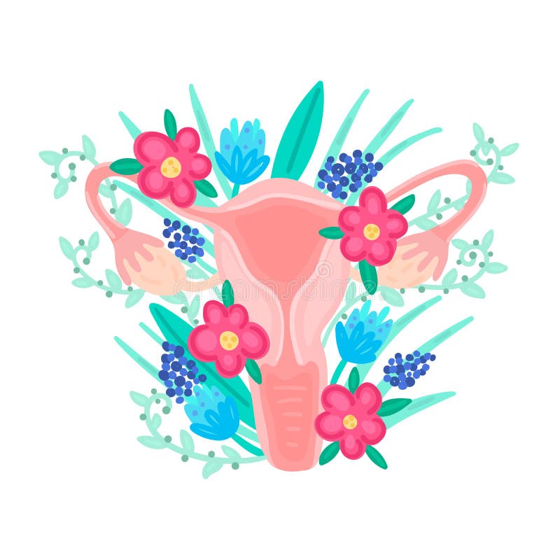 The concept of women's health with a female body, a female groin, a uterus  and flowers in the pelvic area. Vector illustration. Stock Vector