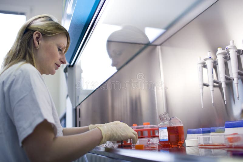 Female researcher doing research in a lab