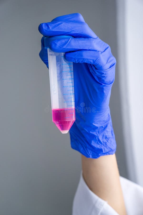 Female researcher is looking at a cell pellet in a tube. Laboratory work, cell splitting. Female researcher is looking at a cell pellet in a tube. Laboratory royalty free stock photos Female researcher is looking at a cell pellet in a tube. Laboratory work, cell splitting. Female researcher is looking at a cell pellet in a tube. Laboratory royalty free stock photos