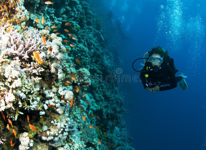 Female scuba diver on colorful foral reef