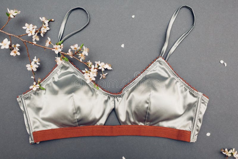 Female Silk Underwear with Spring Blossom. Satin Silver Bra with Lace Stock  Photo - Image of plum, clean: 179072242