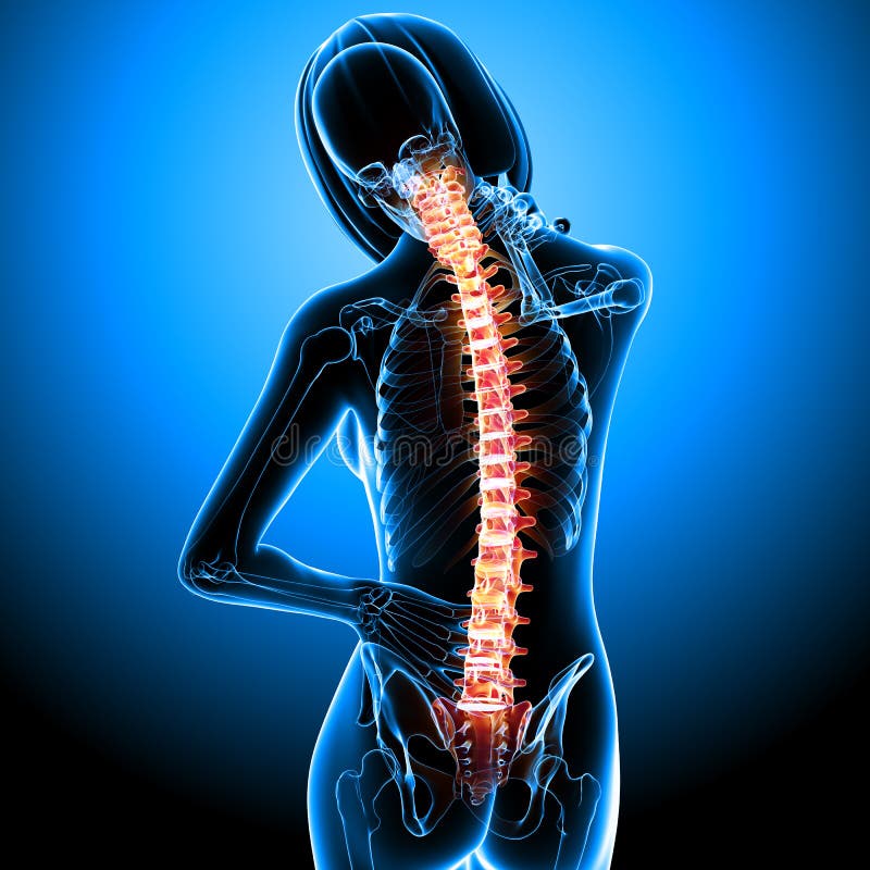 Female Skeleton With Back Pain Stock Illustration Illustration Of
