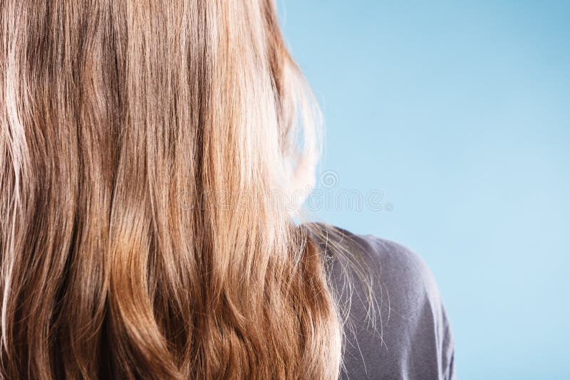 6,621 Brown Hair Back View Stock Photos - Free & Royalty-Free Stock Photos from Dreamstime 6,621 Brown Hair Back View Stock Photos - Free & Royalty-Free Stock Photos from Dreamstime