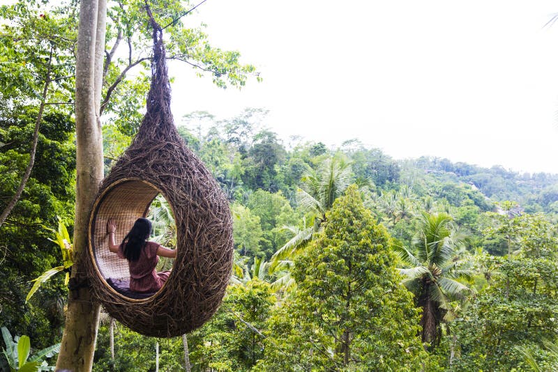 A female tourist is sitting on a large bird nest on a tree at Bali island