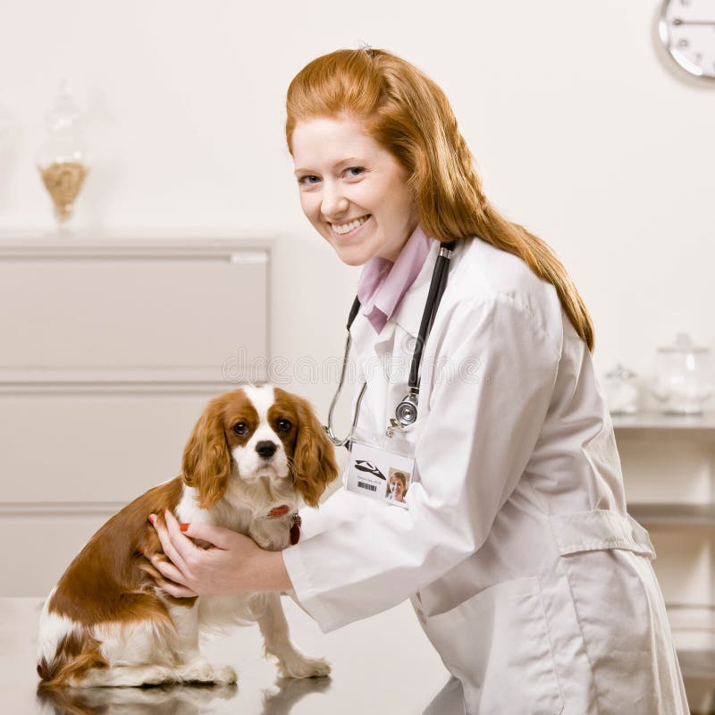 Female vet cares for dog