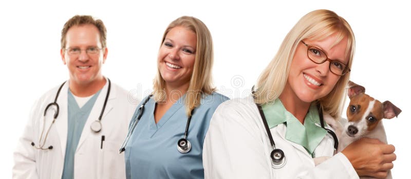 Attractive Female and Male Veterinarian Doctors with Small Puppy Isolated on a White Background. Attractive Female and Male Veterinarian Doctors with Small Puppy Isolated on a White Background.