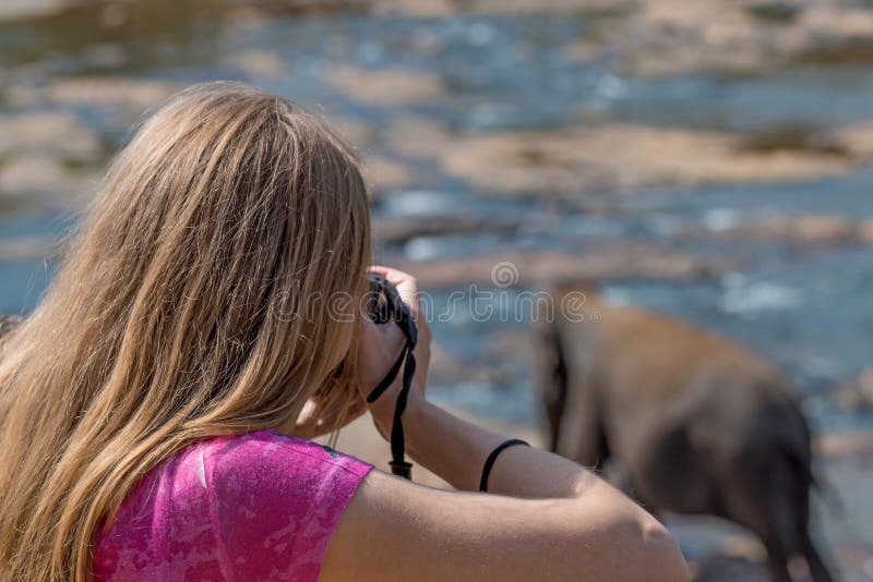 Female wildlife photographer royalty free stock photos Female wildlife photographer royalty free stock photos